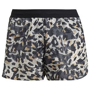 Adidas Adizero Split Shorts Pantolon Kadın Gri | PNMJ-35648