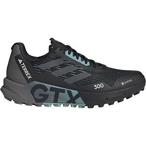 Adidas Terrex Agravic Flow 2 Goretex Patika Koşu Ayakkabısı Kadın Siyah | GTEB-31207