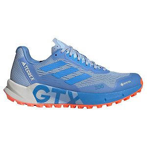 Adidas Terrex Agravic Flow 2 Goretex Patika Koşu Ayakkabısı Kadın Mavi | IFHU-43692