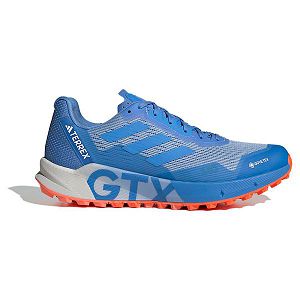 Adidas Terrex Agravic Flow 2 Goretex Patika Koşu Ayakkabısı Erkek Mavi | QJOX-67203